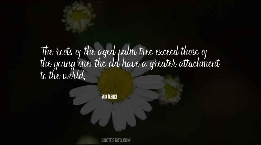 Saib Tabrizi Quotes #237827