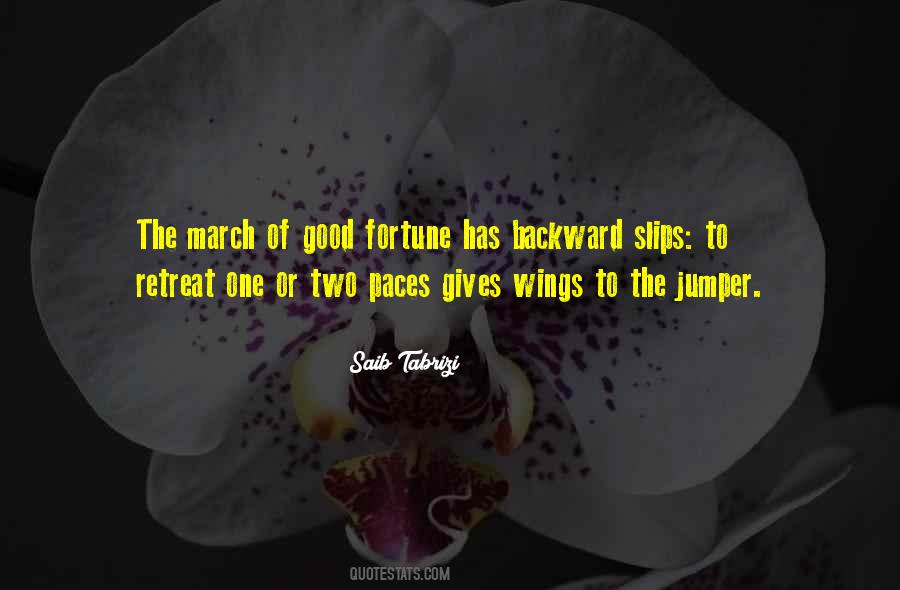 Saib Tabrizi Quotes #54132