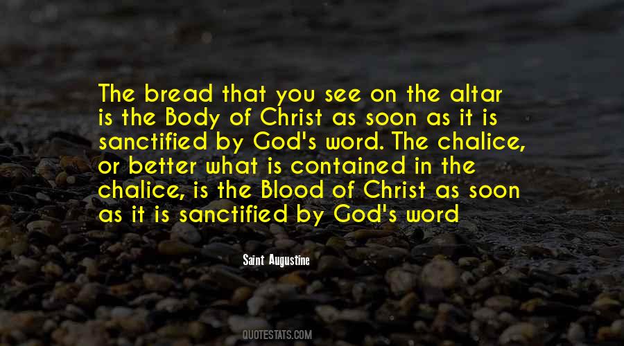 Saint Augustine Quotes #295752