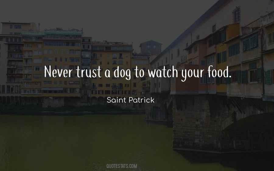 Saint Patrick Quotes #303978