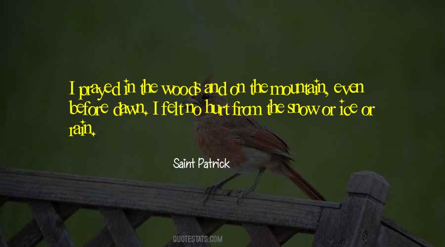 Saint Patrick Quotes #411803