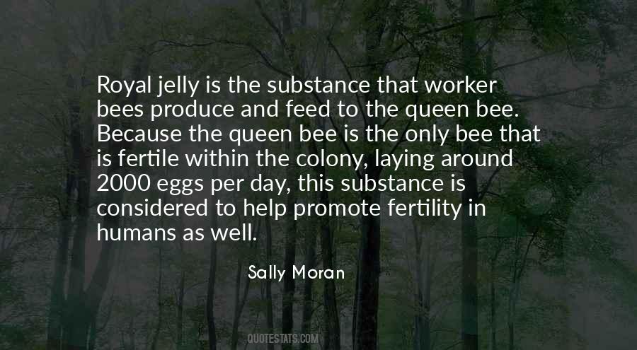 Sally Moran Quotes #64723