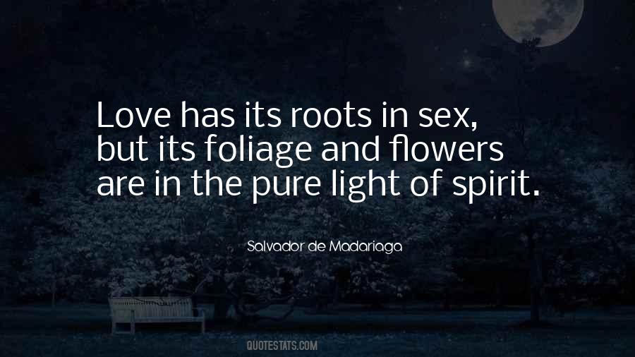 Salvador De Madariaga Quotes #856460