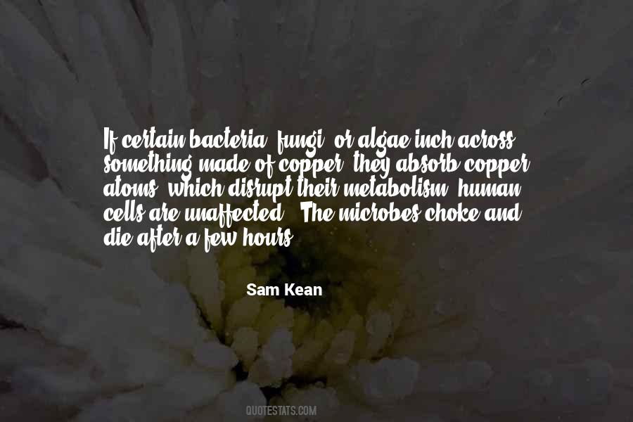 Sam Kean Quotes #657912