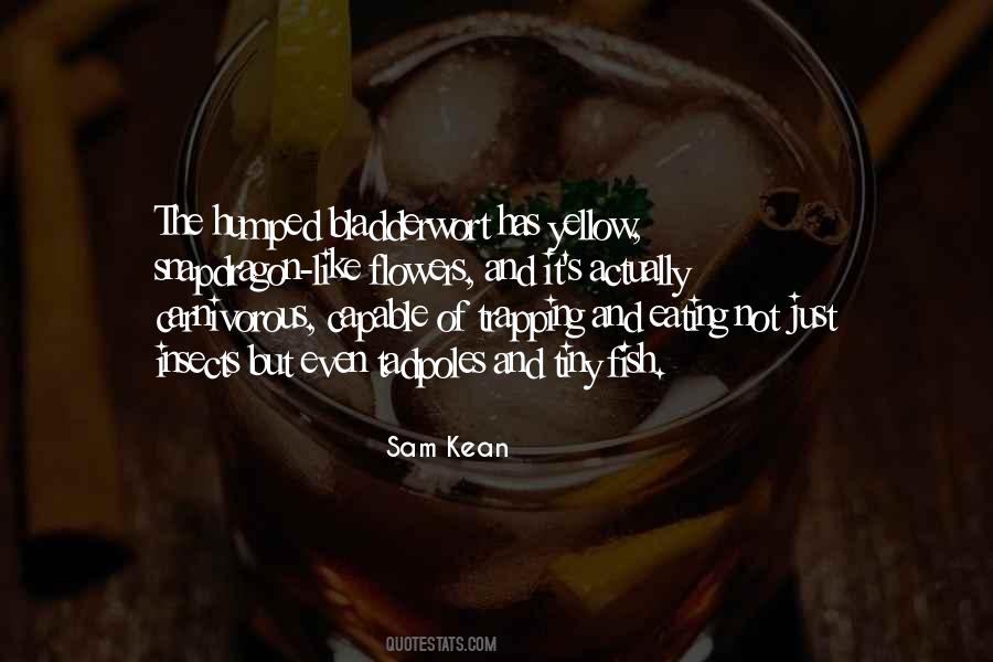 Sam Kean Quotes #873924