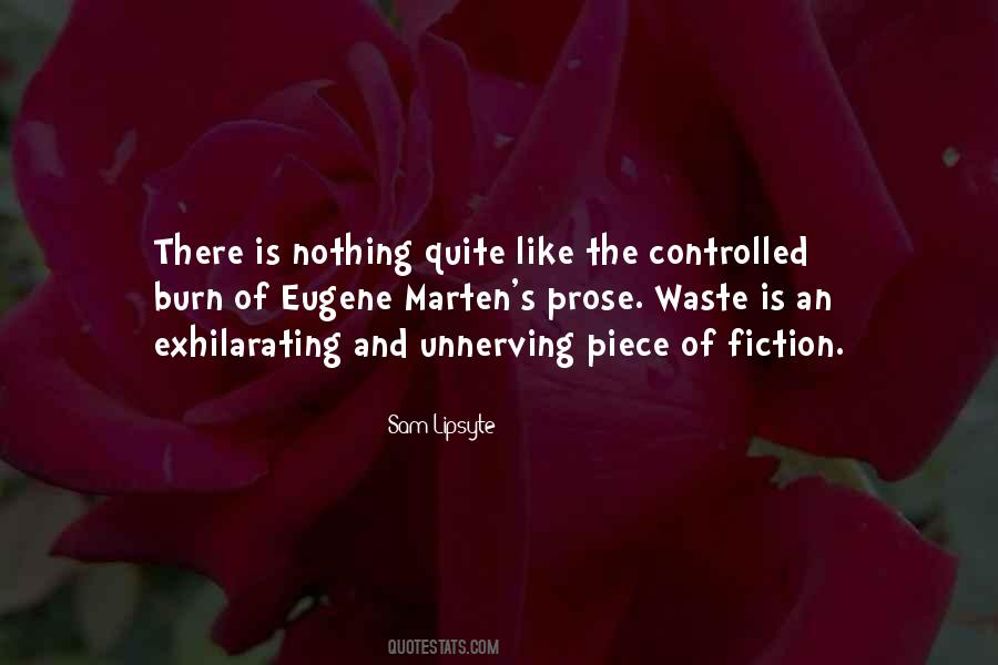 Sam Lipsyte Quotes #1125223