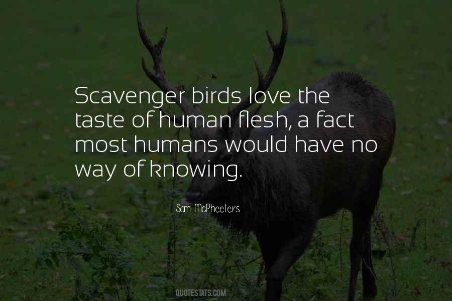 Sam McPheeters Quotes #918511