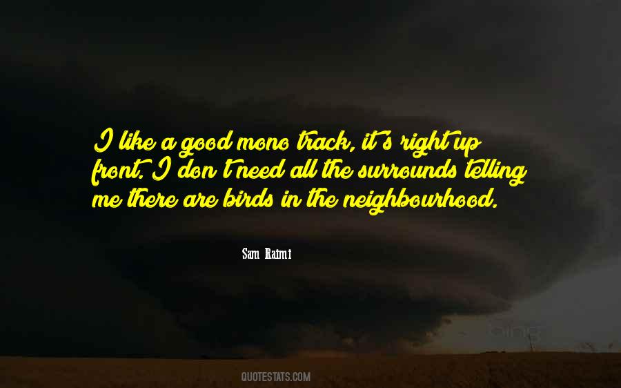 Sam Raimi Quotes #645101