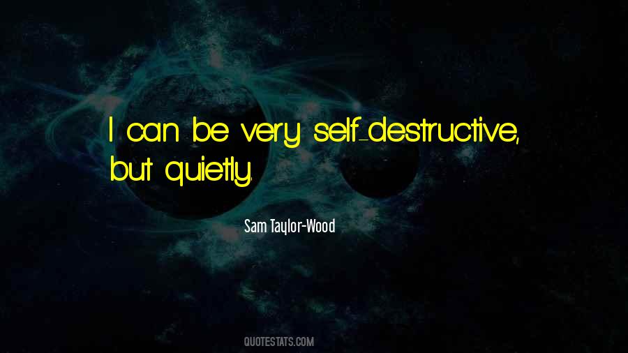 Sam Taylor-Wood Quotes #296591