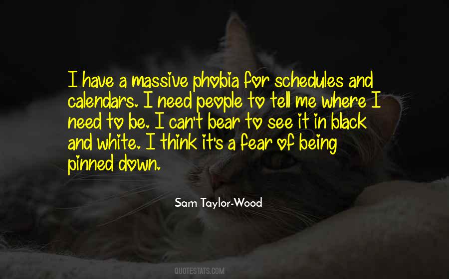 Sam Taylor-Wood Quotes #503025