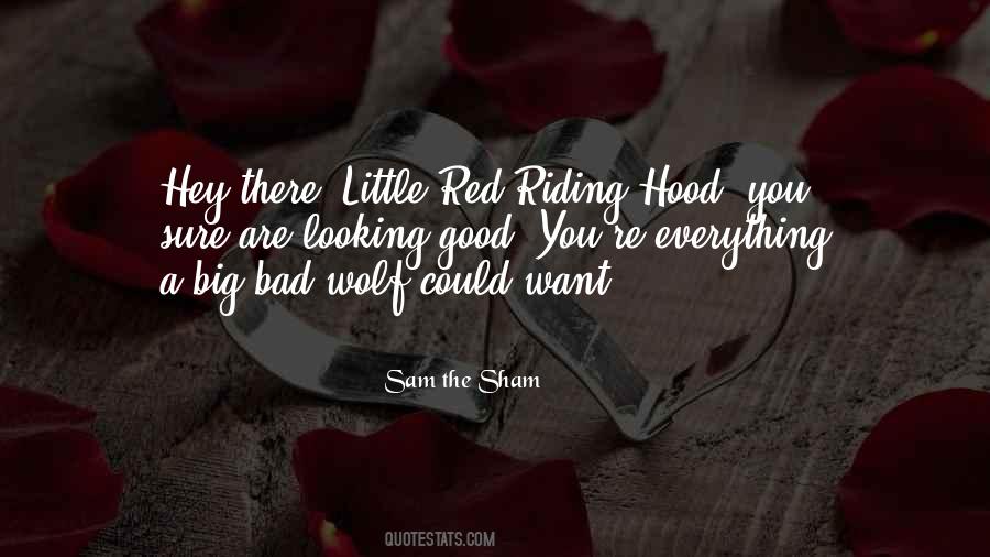 Sam The Sham Quotes #219373