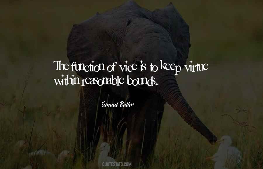 Samuel Butler Quotes #29549