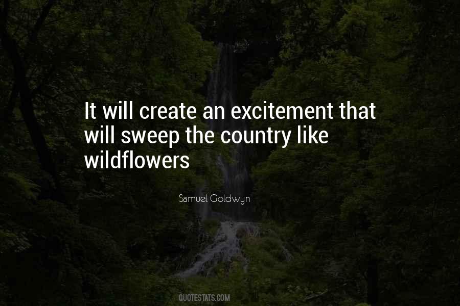 Samuel Goldwyn Quotes #867481