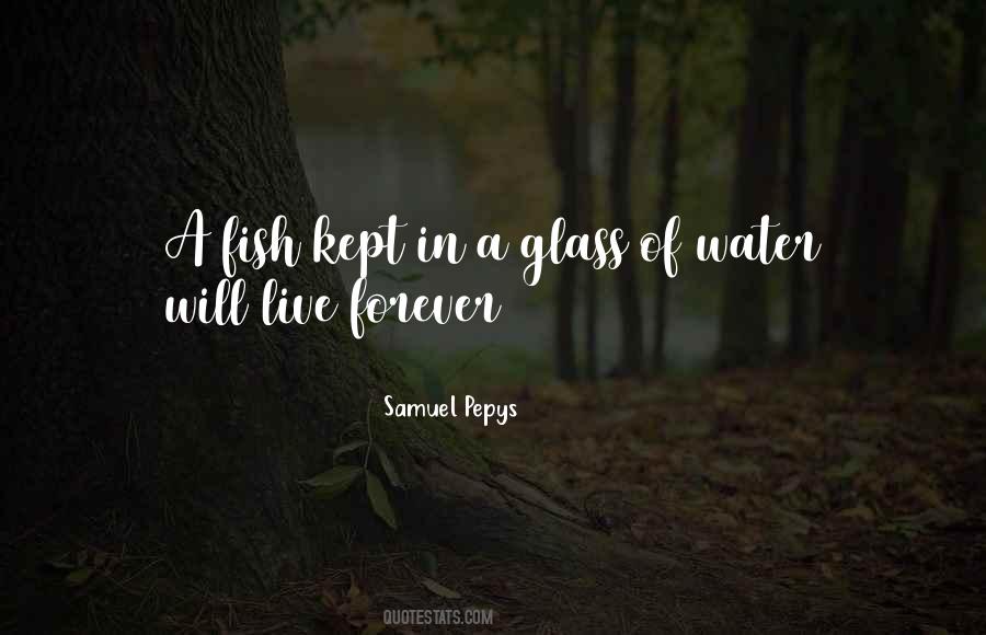 Samuel Pepys Quotes #1201462