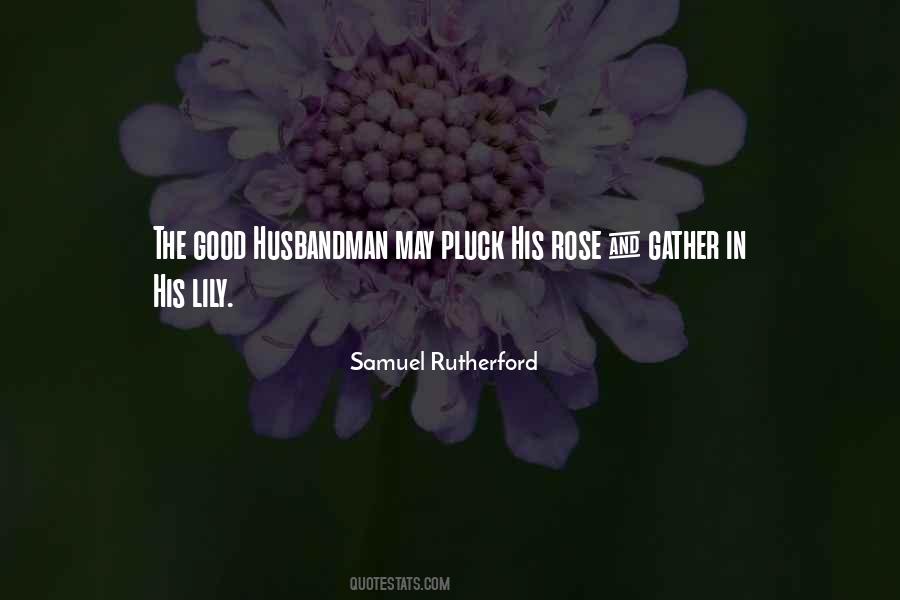 Samuel Rutherford Quotes #300103