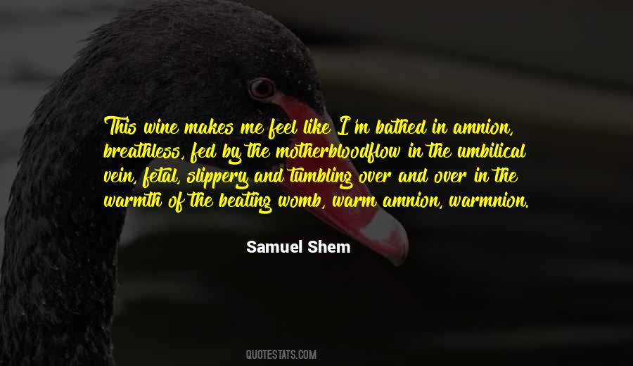 Samuel Shem Quotes #87755