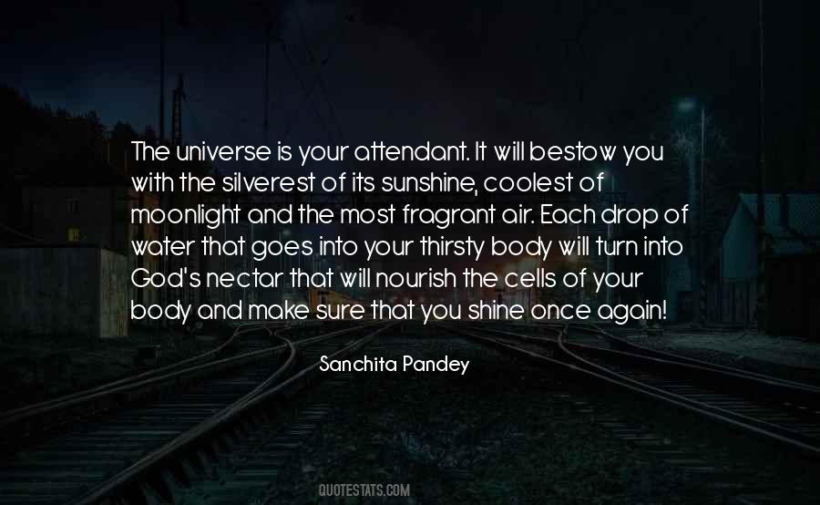 Sanchita Pandey Quotes #857153