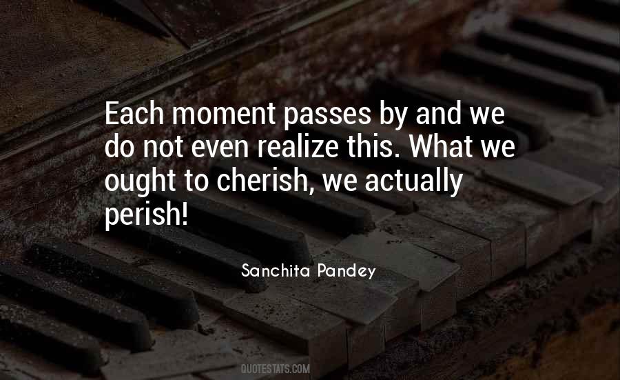 Sanchita Pandey Quotes #976813