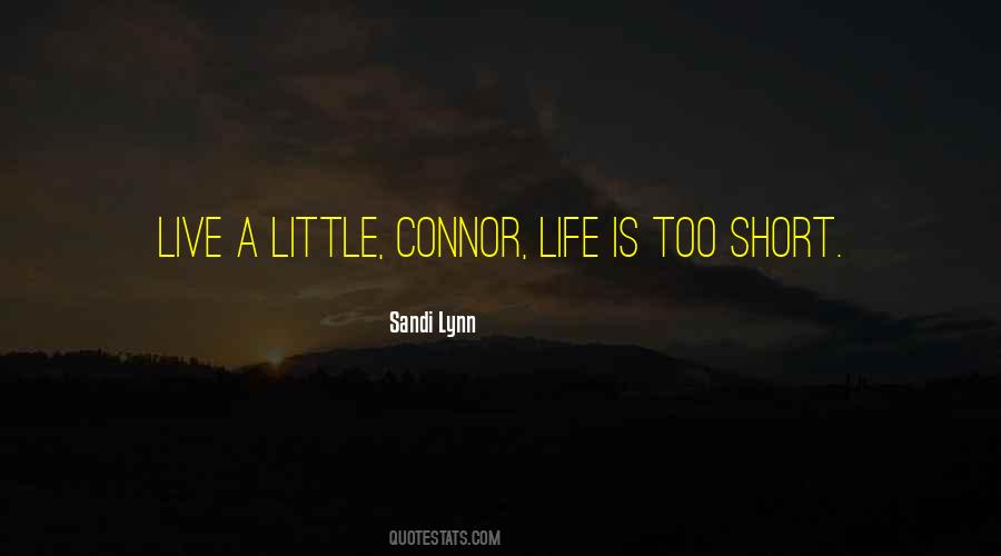 Sandi Lynn Quotes #1828871