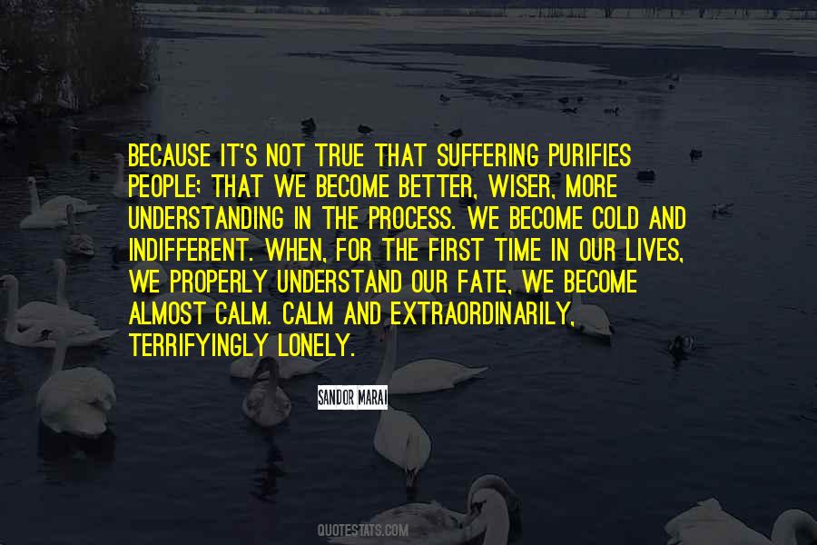 Sandor Marai Quotes #924661