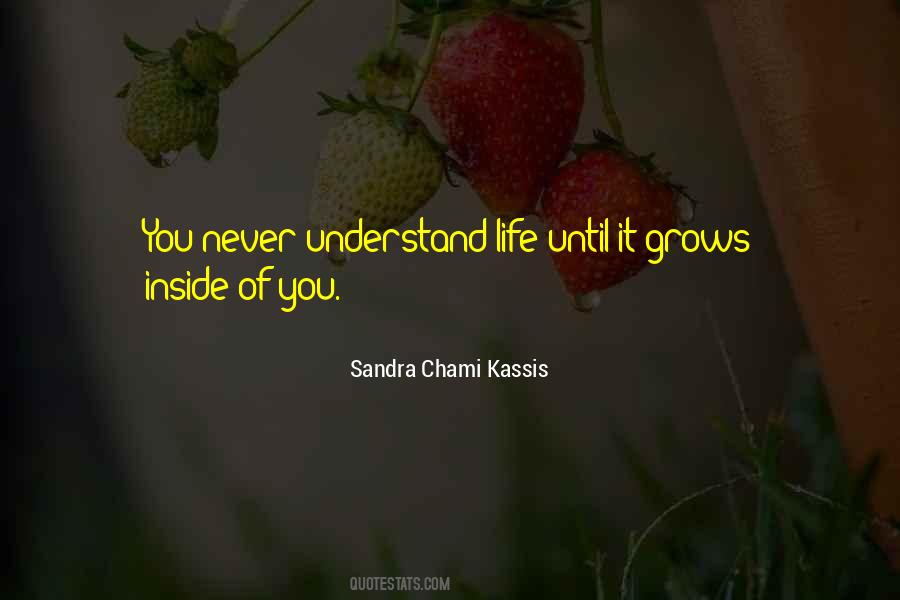 Sandra Chami Kassis Quotes #674783