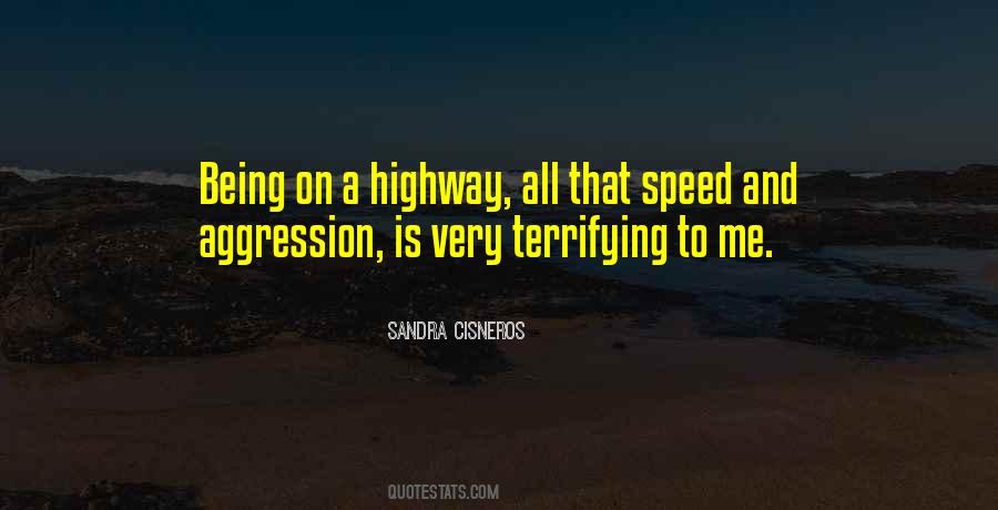 Sandra Cisneros Quotes #380196