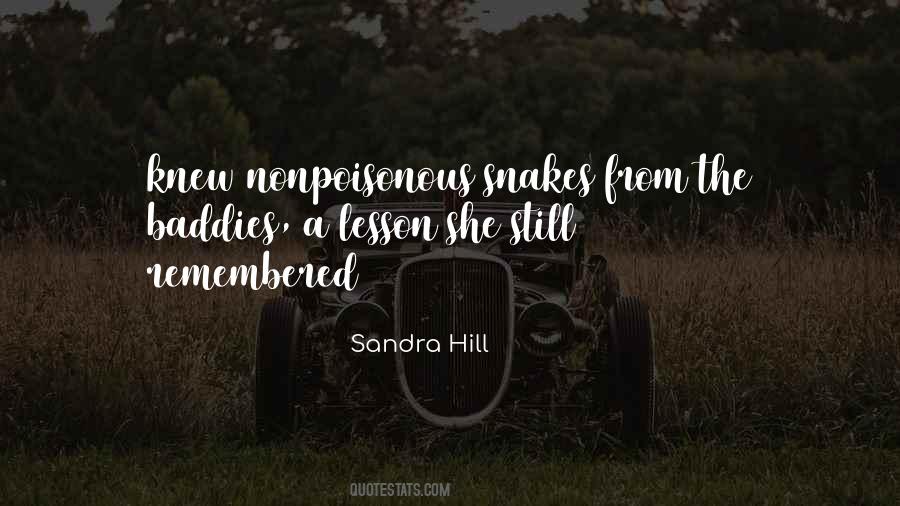 Sandra Hill Quotes #1535825