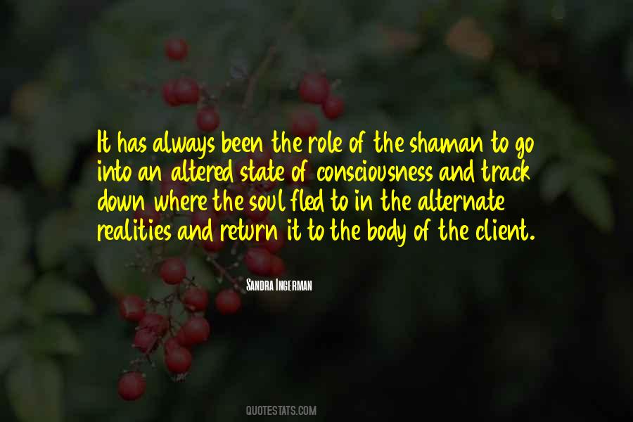 Sandra Ingerman Quotes #1306479