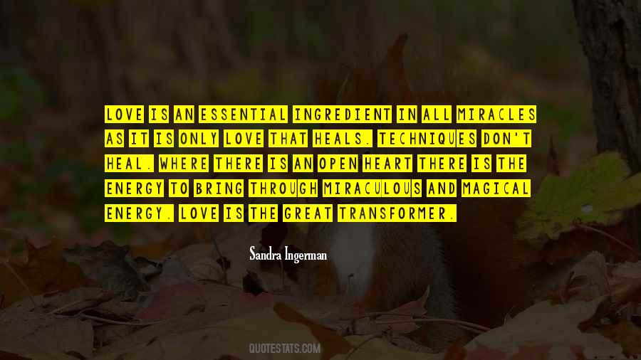Sandra Ingerman Quotes #857223