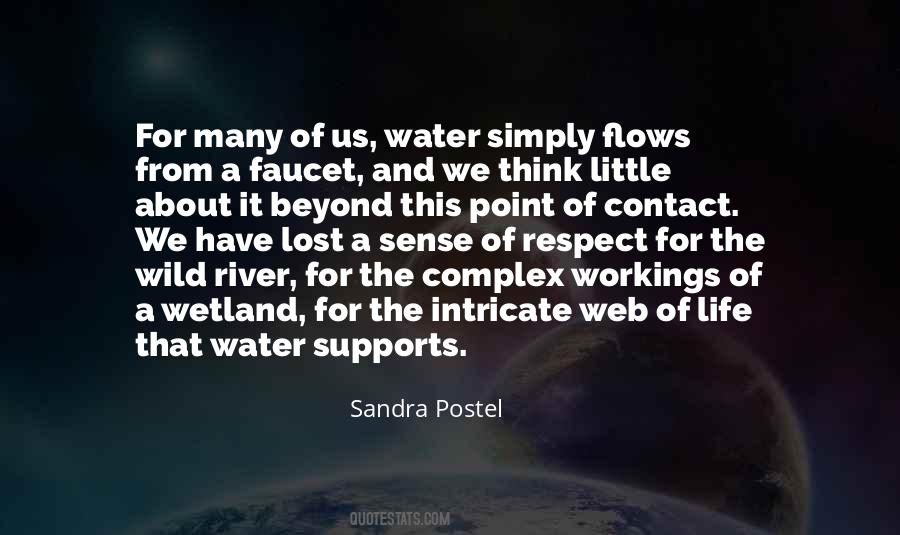 Sandra Postel Quotes #24600