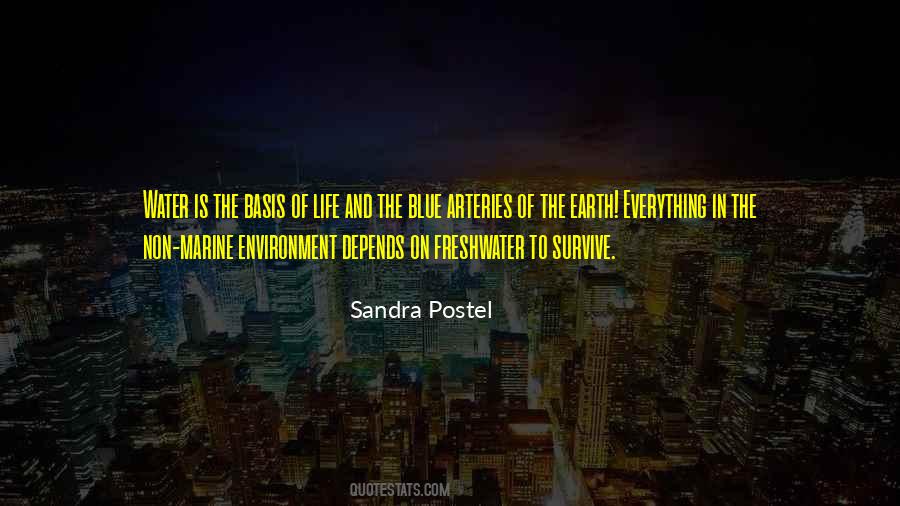 Sandra Postel Quotes #356363
