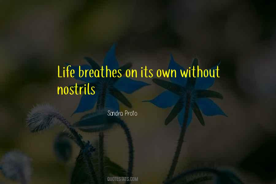 Sandra Proto Quotes #1787666