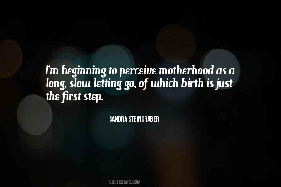 Sandra Steingraber Quotes #1861121