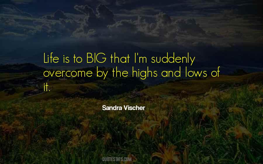 Sandra Vischer Quotes #1664775