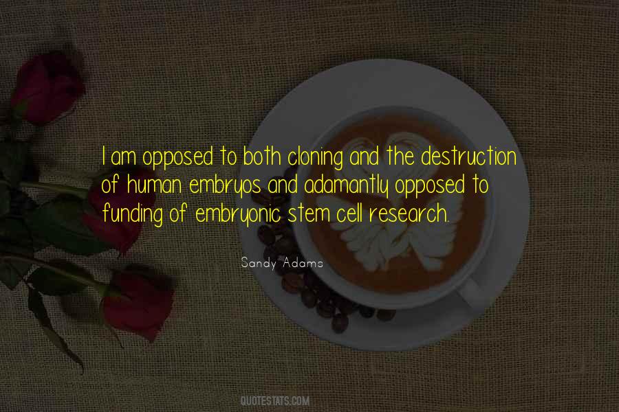 Sandy Adams Quotes #460380