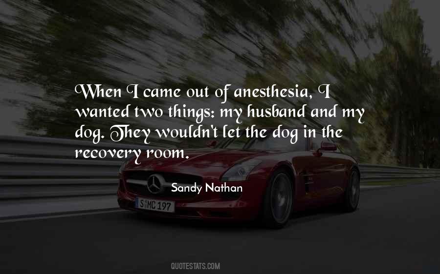 Sandy Nathan Quotes #1221726