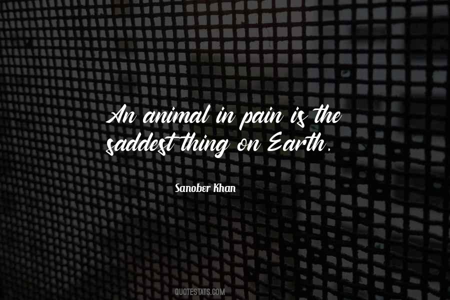 Sanober Khan Quotes #749835