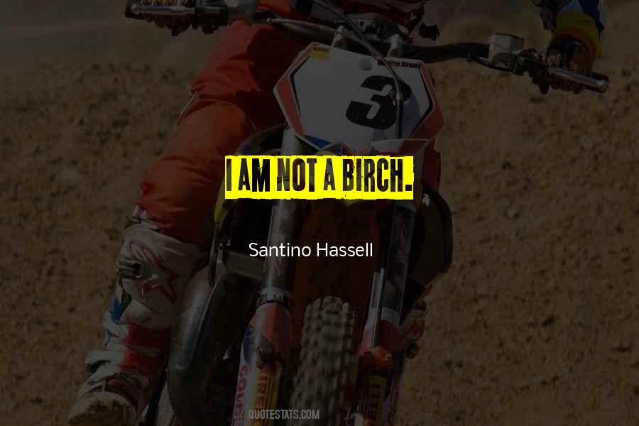 Santino Hassell Quotes #182552