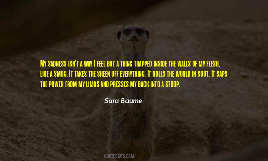 Sara Baume Quotes #1859863
