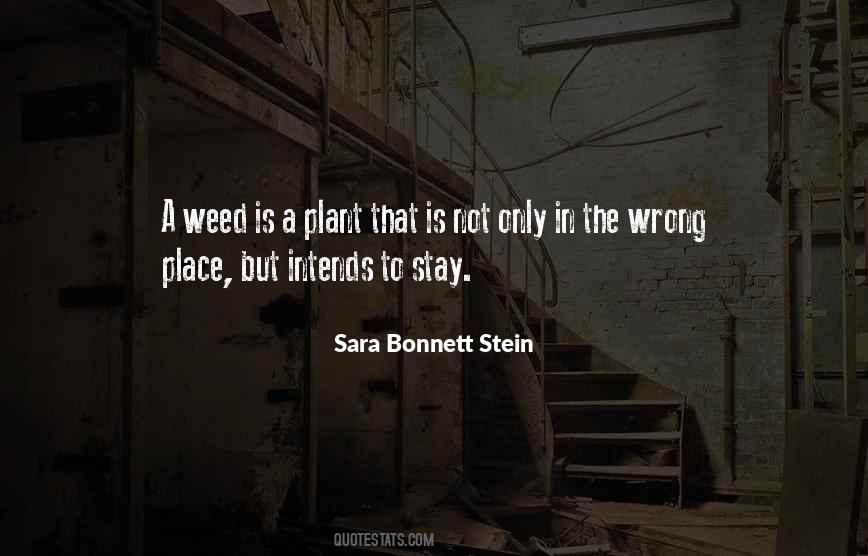 Sara Bonnett Stein Quotes #782523