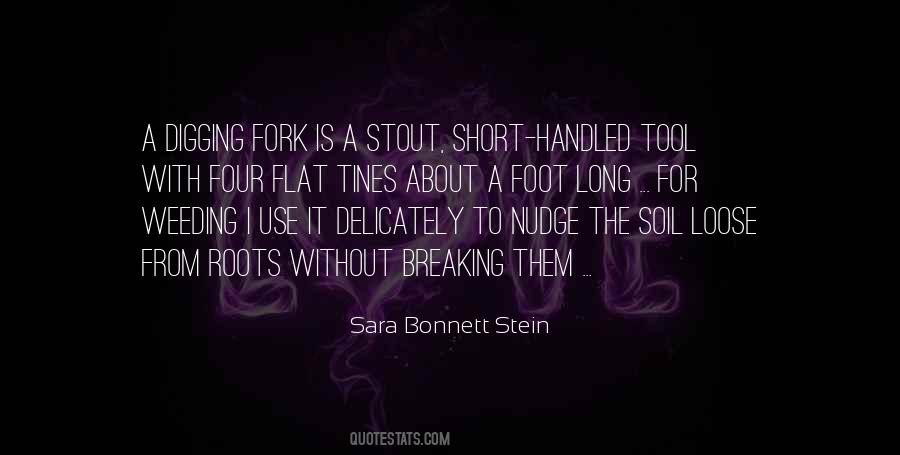 Sara Bonnett Stein Quotes #958633