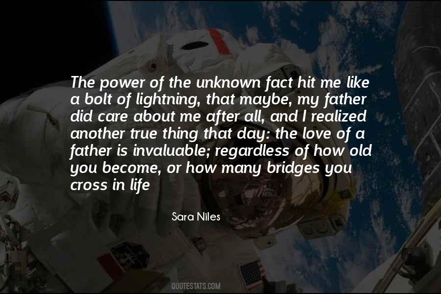 Sara Niles Quotes #1453486