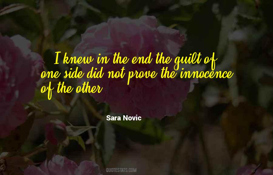 Sara Novic Quotes #1843146