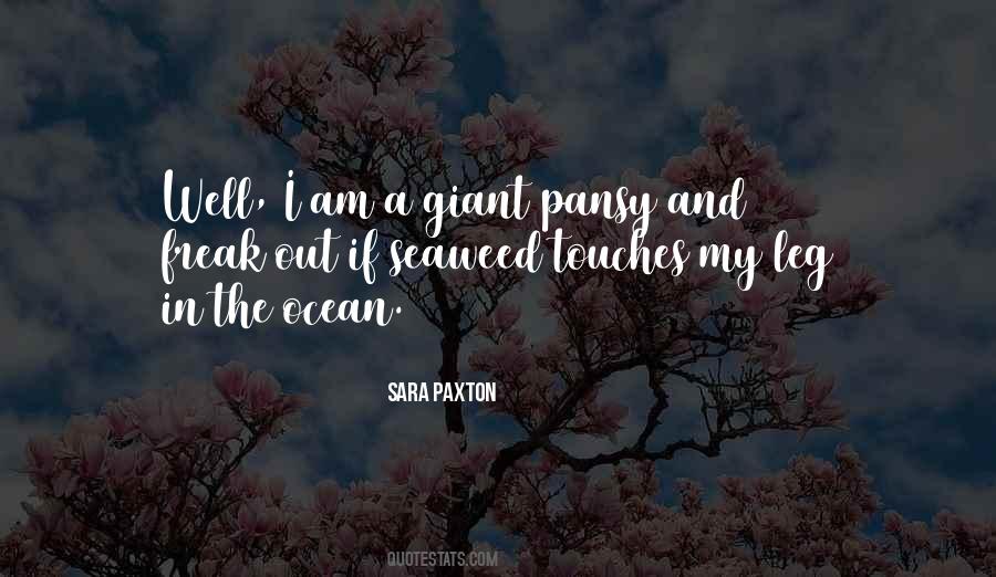 Sara Paxton Quotes #969098