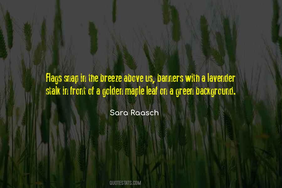 Sara Raasch Quotes #1659581