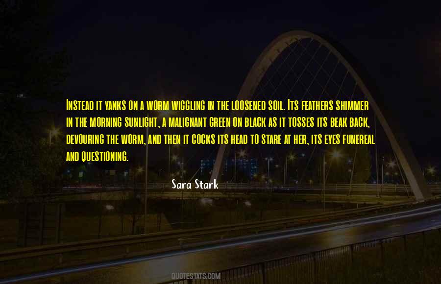 Sara Stark Quotes #795557