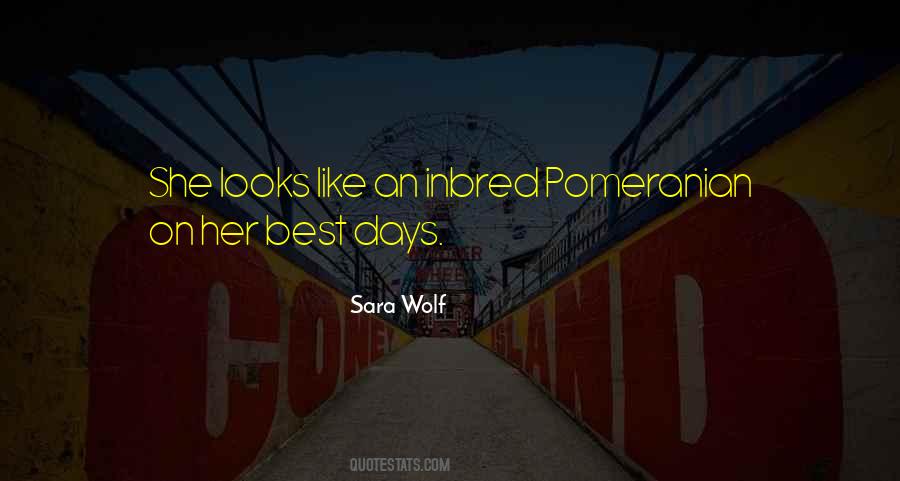 Sara Wolf Quotes #124503