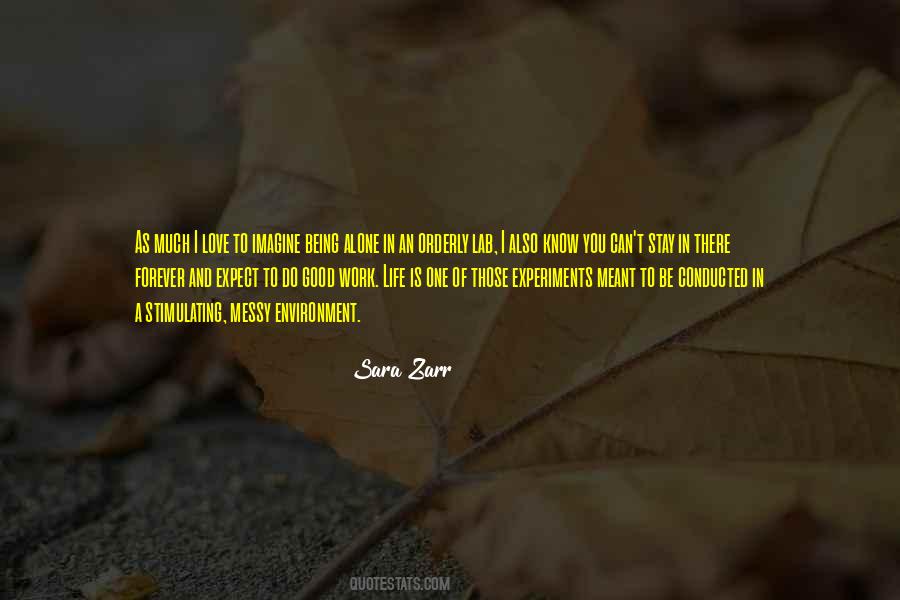 Sara Zarr Quotes #1233864