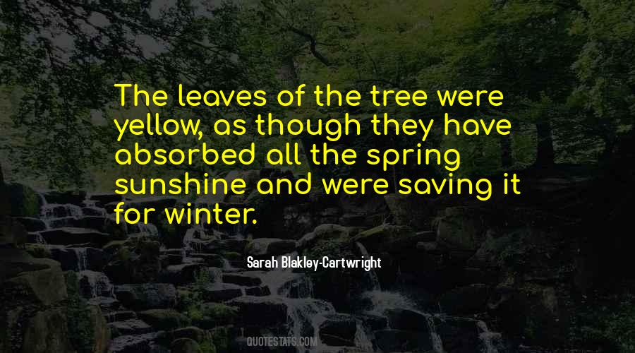 Sarah Blakley-Cartwright Quotes #88268