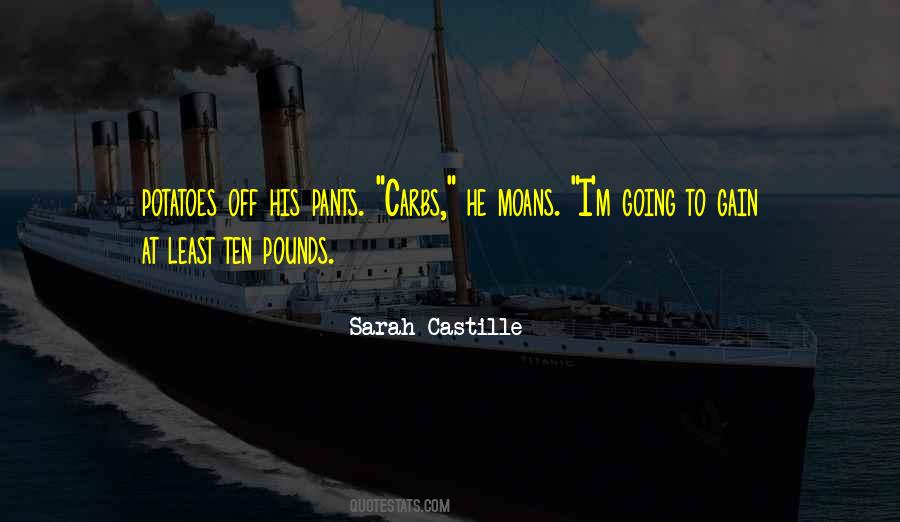 Sarah Castille Quotes #194431